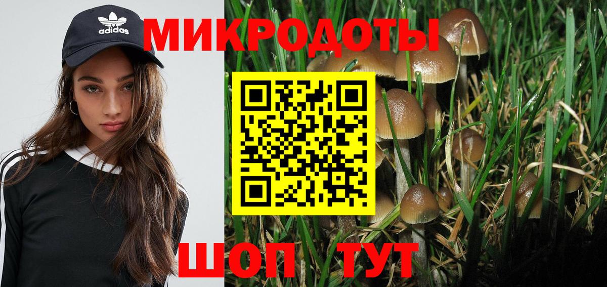 Галлюциногенные грибы GOLDEN TEACHER Калининград