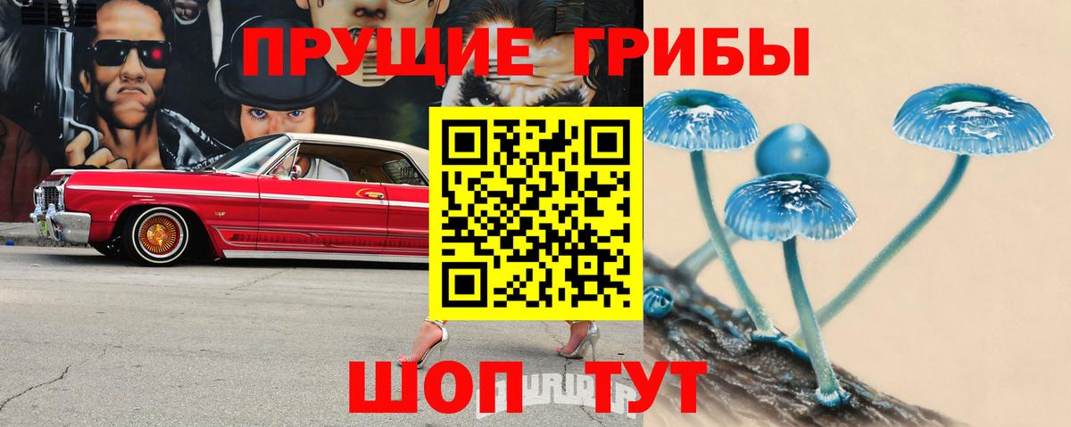 Калининград  Галлюциногенные грибы мухоморы  дарнет шоп  Галлюциногенные грибы Magic Shrooms  Вход с VPN 