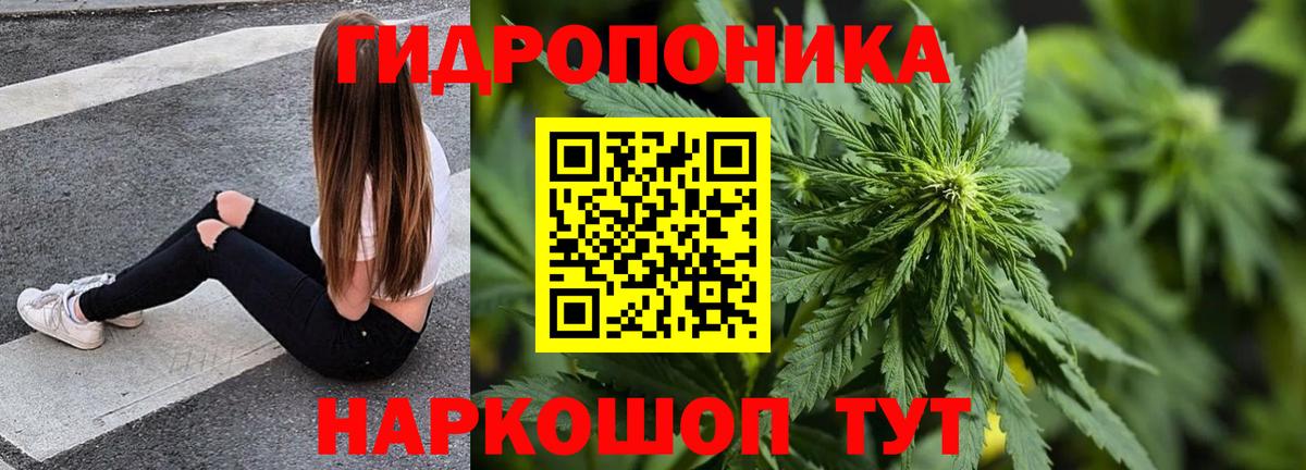 Каннабис SATIVA & INDICA  МАРИХУАНА White Widow  Вход с VPN  Марихуана тримм  МАРИХУАНА гибрид  Калининград 